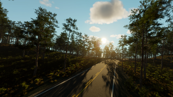 Shot of the sun slowly setting over a curving road, passing through a wooded area